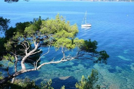 Eco-Lodge Lou Pantai Le Pradet Dış mekan fotoğraf